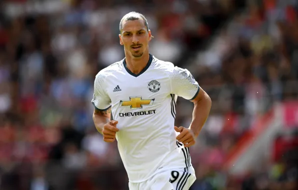 Звезда, star, forward, Manchester United, Манчестер Юнайтед, нападающий, striker, Златан Ибрагимович