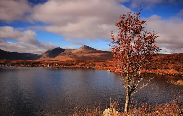 Картинка осень, озеро, дерево, холмы