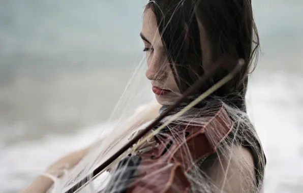 Картинка девушка, скрипка, паутина