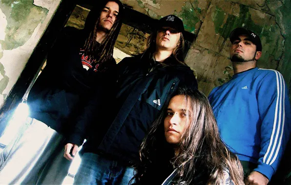 Nu-Metal, Groove metal, Гергей Тарин, Ektomorf, Тамаш Шроттнер, Золтан Фаркаш, Саболч Мурваи