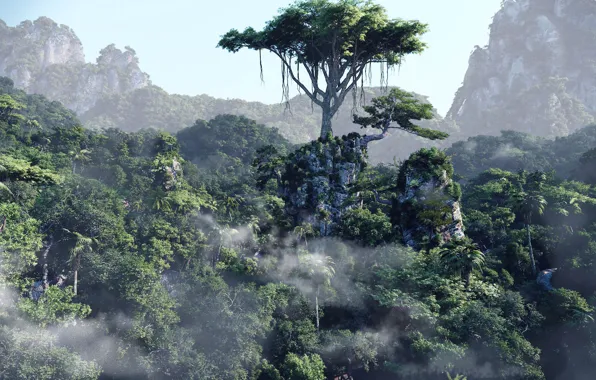 Деревья, горы, Forest