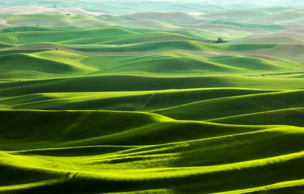 Картинка поле, трава, горы, природа, холмы