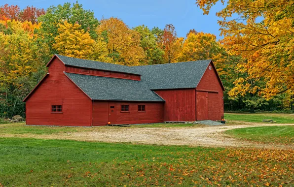 Осень, лес, трава, листья, деревья, дом, парк, США