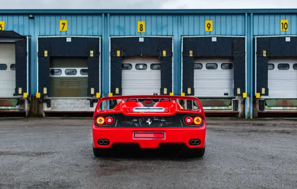 Ferrari, 1996, F50, Ferrari F50