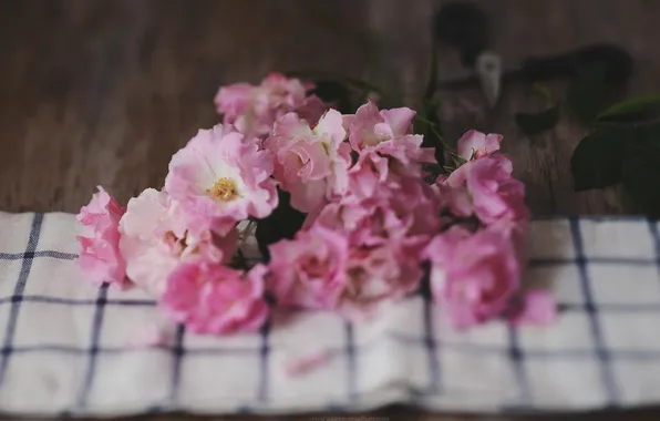 Картинка цветы, лепестки, розовые