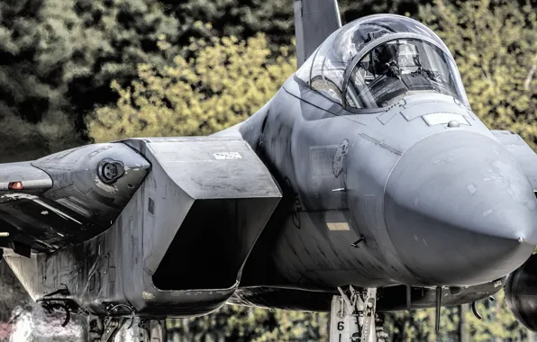Истребитель, Eagle, F-15, McDonnell Douglas