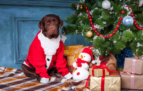 Снеговик, gift box, собака, подарки, fir tree, украшения, santa, Рождество
