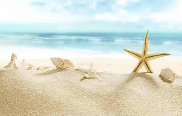 Картинка beach, sea, sun, sand, starfish, seashells