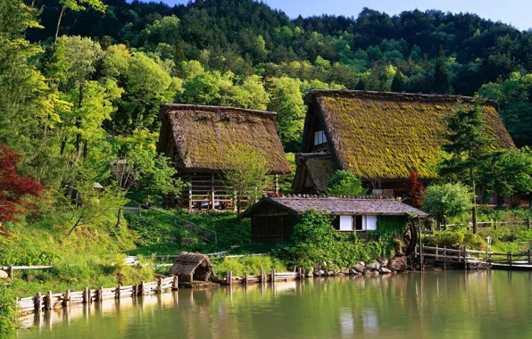 Картинка лес, дом, Япония, Japan, беседка, houses, вода., cites