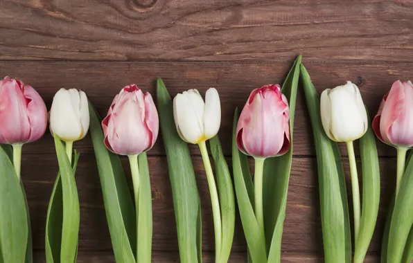 Цветы, тюльпаны, розовые, white, белые, wood, pink, flowers