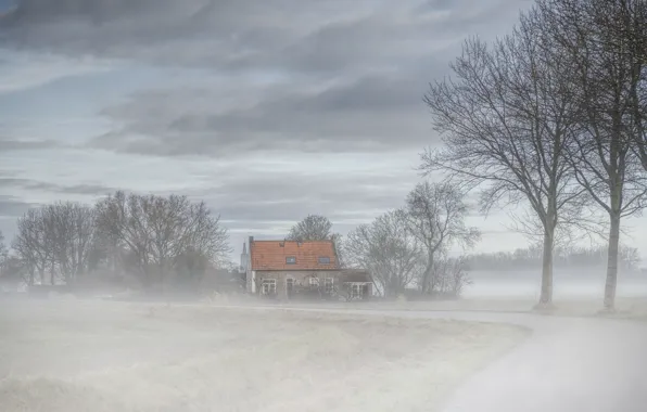 Картинка дорога, туман, дом, Nederland, Zeeland, Abbekinderen