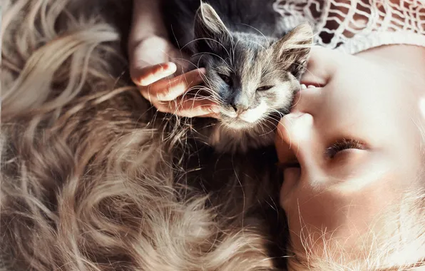 Кошка, свет, лицо, котенок, серый, волосы, рука, девочка