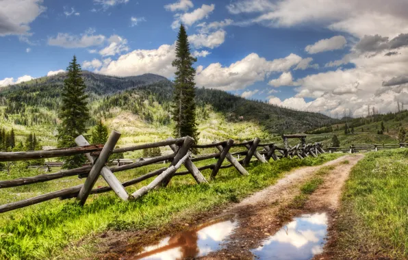 Лес, горы, forest, mountains, высокогорье, ферма, highlands, farm