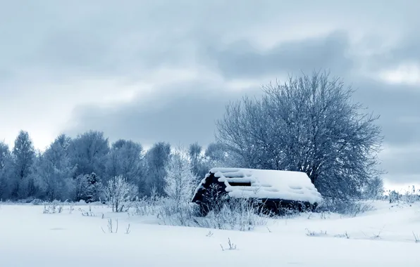 Картинка зима, снег, деревья, природа, фото, сарай