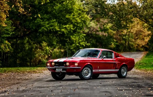 Ford, Shelby, GT500, форд, шелби, 1967, with LeMans stripes option