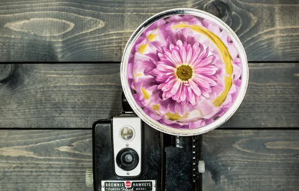 Blossom, camera, Kodak