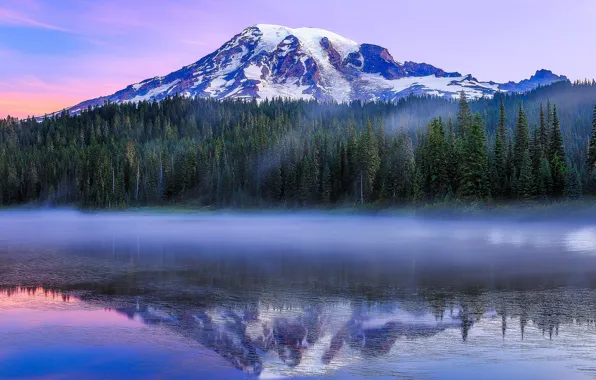 Картинка лес, Paradise, озеро, отражение, гора, утро, Вашингтон, Washington