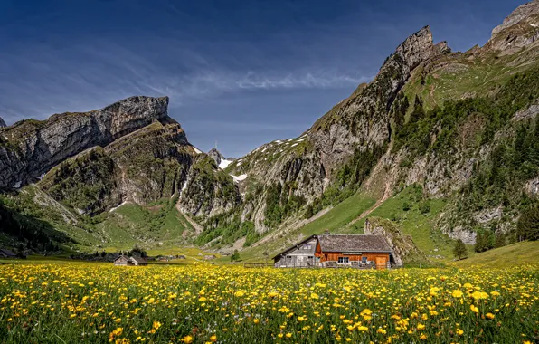 Солнце, цветы, горы, скалы, Швейцария, Альпы, луг, домики