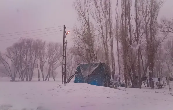 Home, Tree, Night, Snow, Turkish