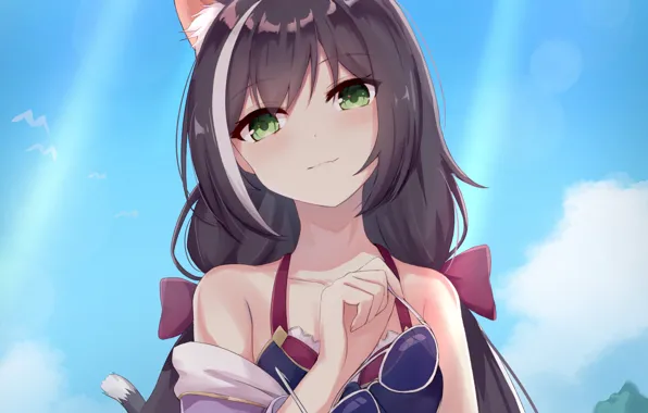 Girl, sexy, cleavage, long hair, boobs, anime, beautiful, pretty