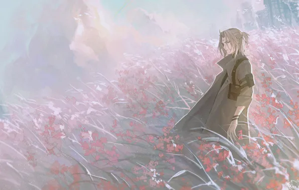Небо, цветы, парень, Watanabe, Punishing: Gray Raven