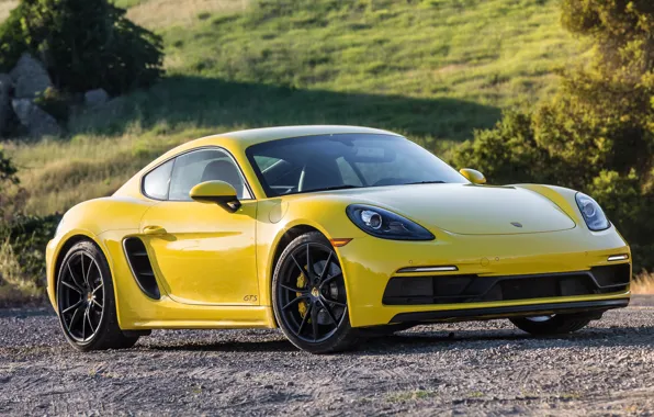Porsche, Cayman, GTS, 718, 2019