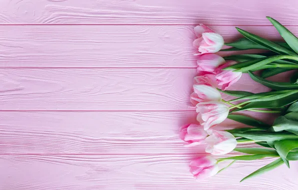 Цветы, Тюльпаны, розовые, деревянный фон