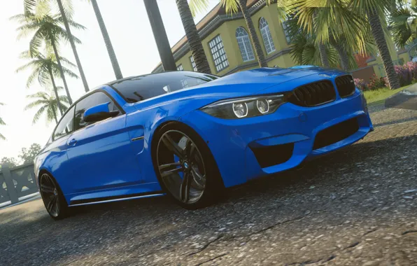 Дорога, синий, дом, пальмы, BMW, ясно, The Crew, Wild Run