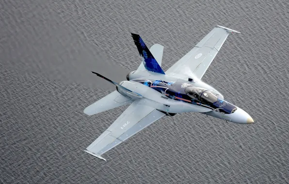 Картинка истребитель, Hornet, перехватчик, CF-18