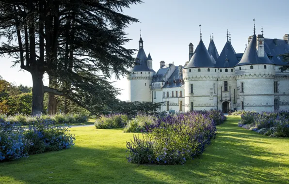 Лето, цветы, замок, Франция, сад, Château de Bénouville, Chaumont-sur-Loire