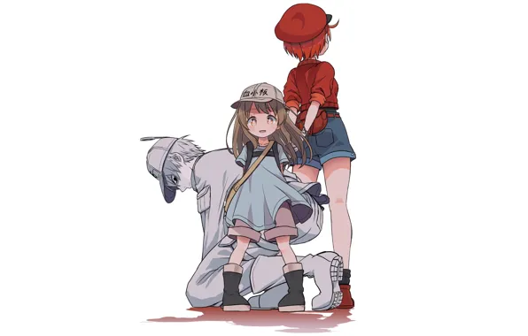 Девочки, Фон, парень, hataraku saibou