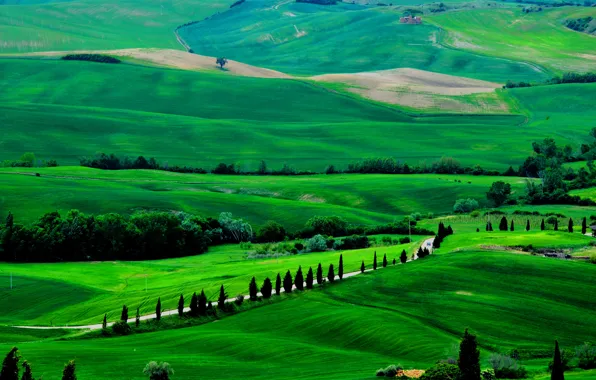 Картинка дорога, деревья, поля, Италия, Тоскана