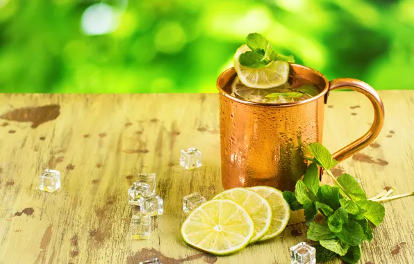 Картинка moscow, spearmint, mug, slices, rum, soda, recipe, mule