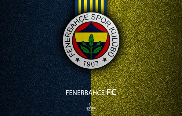 Wallpaper, sport, logo, football, Turkish Superlig, Fenerbahce