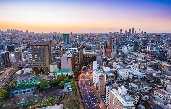 Город, дома, панорама, Tokyo, Skyline, Dusk
