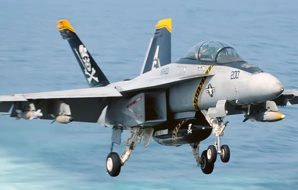 US Navy, Fighter Jet, FA-18C Super Hornet, Fighter Aircraft