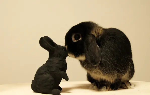 Картинка игрушка, кролик, зайчик