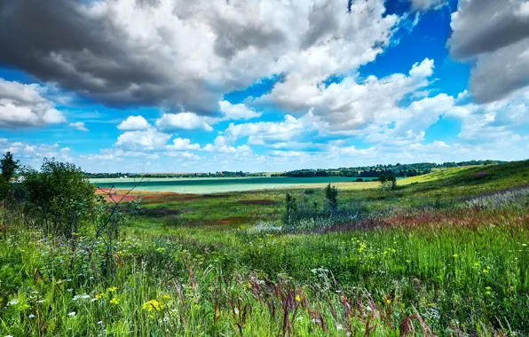 Картинка облака, пейзаж, природа, поля, травы, луга