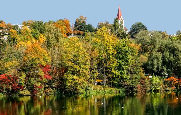 Осень, деревья, птицы, река, башня, Швейцария