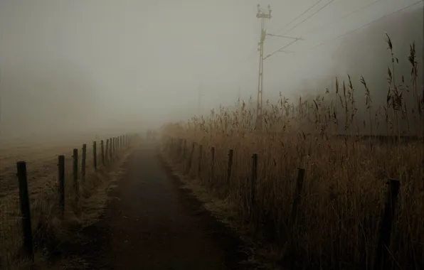 Картинка утро, дорога, туман