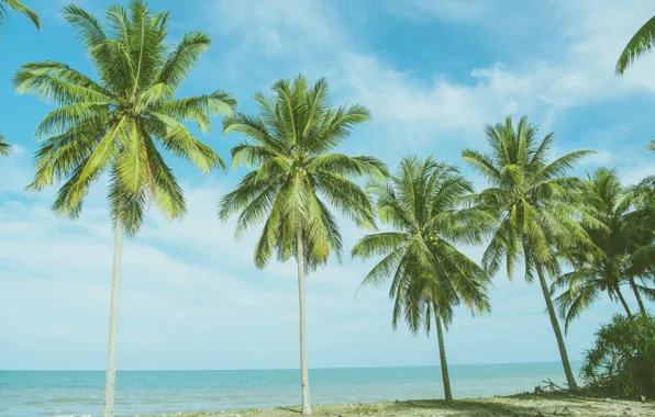 Пальмы, paradise, берег, beach, palms, песок, море, волны