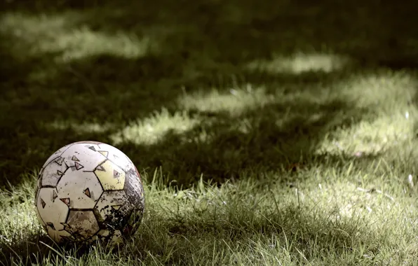 Картинка трава, спорт, мяч