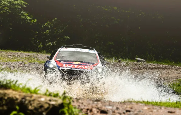 Вода, 2008, Спорт, Скорость, Гонка, Грязь, Peugeot, Брызги
