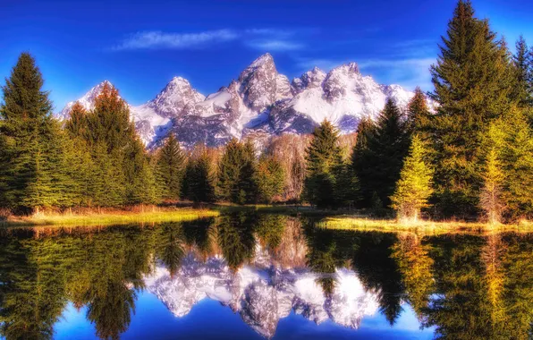 Картинка лес, горы, озеро