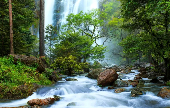 Картинка лес, деревья, река, камни, водопад, поток, Таиланд, Клонг Лан