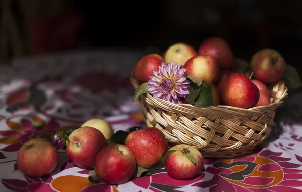 Яблоки, еда, фрукты