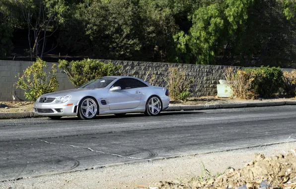 Серебристый, silver, Mercedes, wheels, мерседес, SL65, бенц, rearside