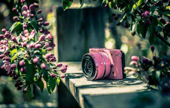 Картинка фон, цвет, фотоаппарат, Nikon