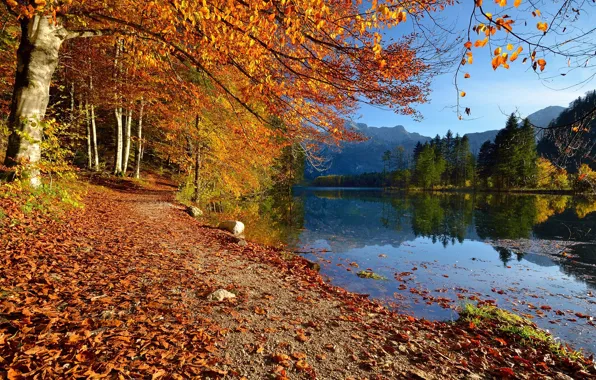 Картинка осень, деревья, пейзаж, горы, природа, озеро, берег, Австрия