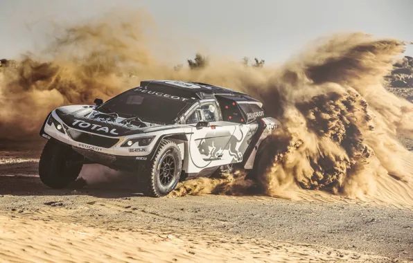 Песок, Спорт, Скорость, Гонка, Занос, Peugeot, Фары, Red Bull